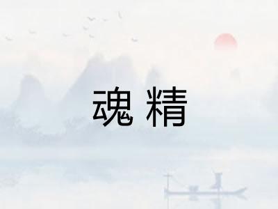 魂精 魂精