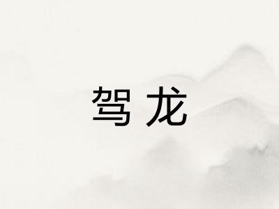 驾龙 驾龙