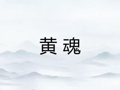 黄魂 黄魂