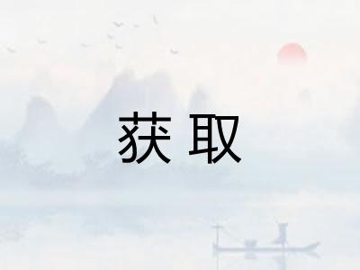 获取 获取