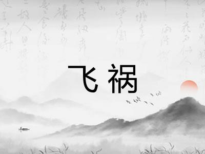飞祸