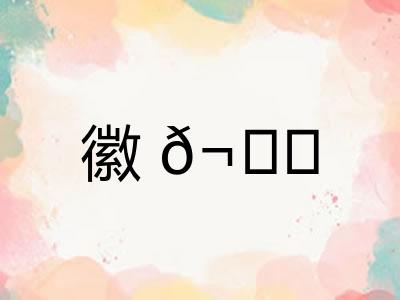 徽? 徽?
