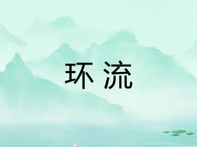 环流