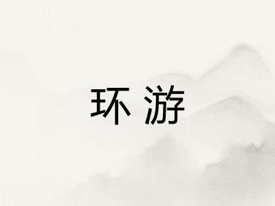 环游