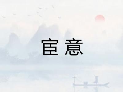 宦意