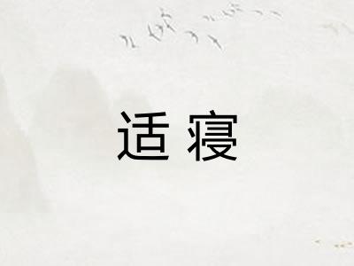 适寝 适寝
