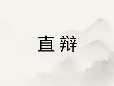 直辩