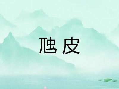 虺皮 虺皮