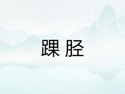 踝胫 踝胫