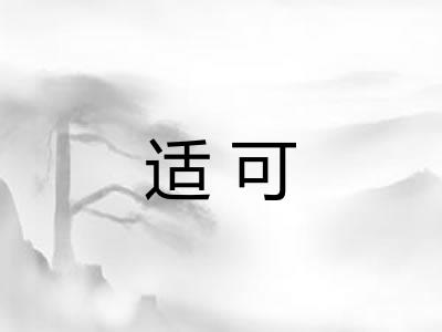 适可