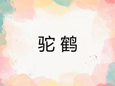驼鹤 驼鹤
