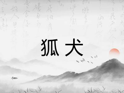 狐犬 狐犬