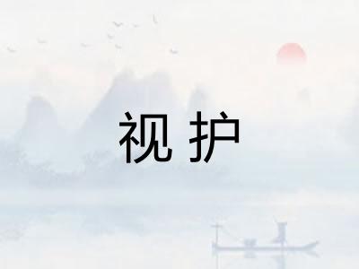 视护 视护