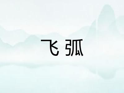 飞弧