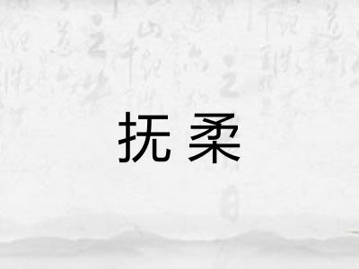 抚柔 抚柔
