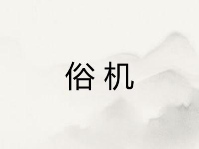 俗机 俗机
