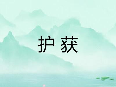 护获