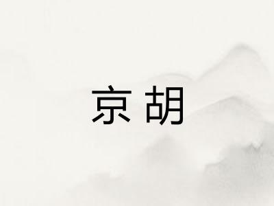 京胡 京胡