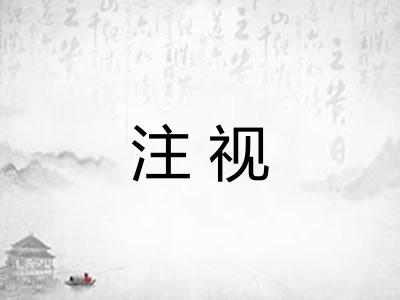 注视 注视