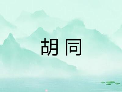 胡同 胡同