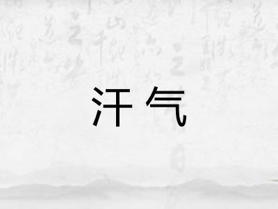 汗气 汗气