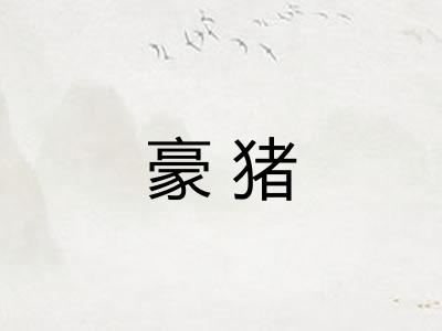 豪猪