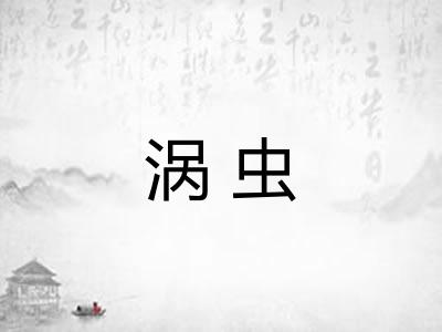 涡虫 涡虫