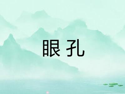 眼孔 眼孔