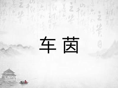 车茵 车茵