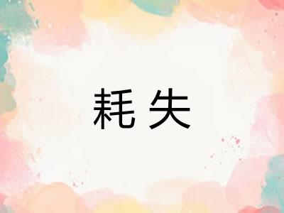 耗失 耗失