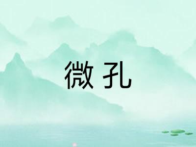 微孔