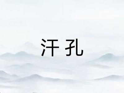 汗孔