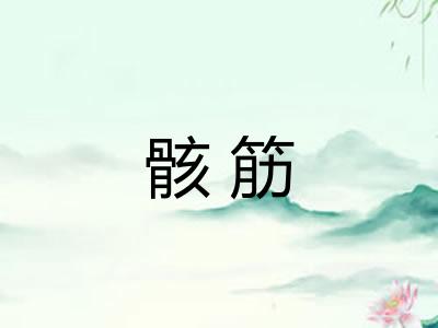 骸筋 骸筋