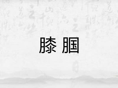 膝腘 膝腘