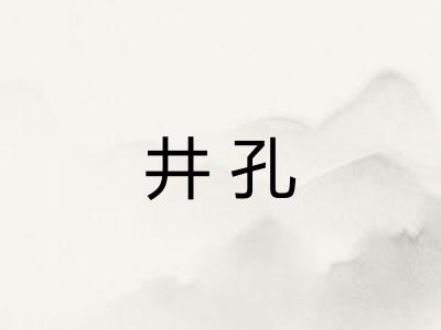 井孔 井孔