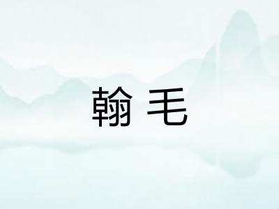 翰毛