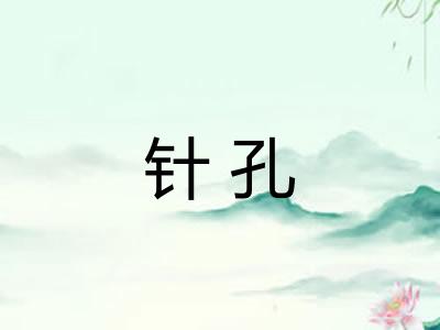 针孔 针孔