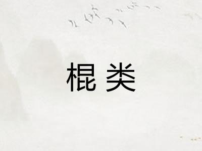 棍类