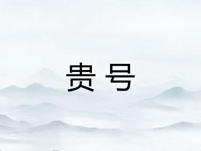 贵号 贵号