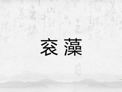 衮藻 衮藻