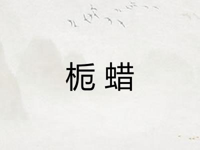 栀蜡 栀蜡