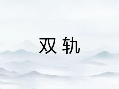 双轨 双轨