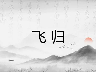 飞归 飞归