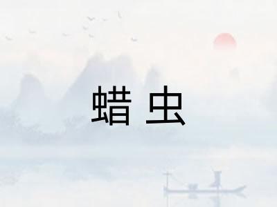 蜡虫 蜡虫