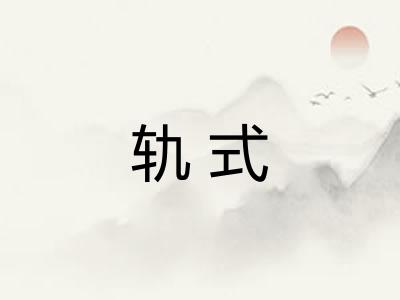 轨式 轨式