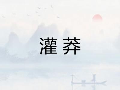 灌莽 灌莽