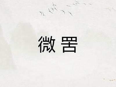 微罟 微罟