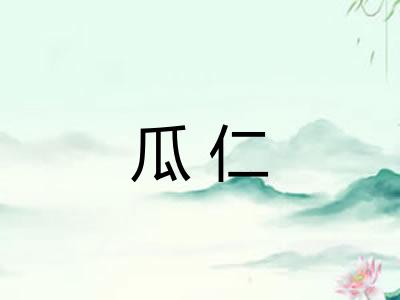 瓜仁 瓜仁