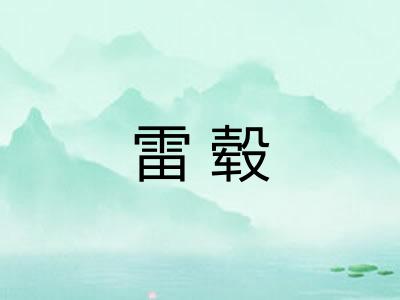 雷毂