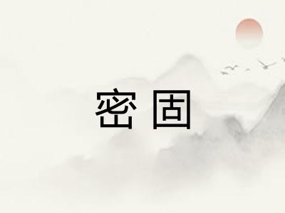 密固 密固